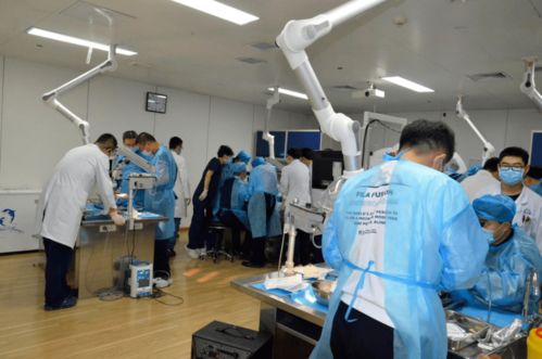 第八期吉林省神經外科專業技術質量控制培訓班圓滿閉幕，開創影視專業技術培訓新篇章